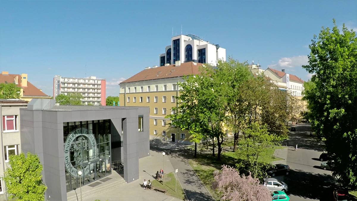 Опольский государственный университет галерея 3