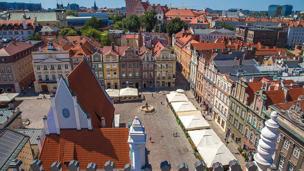 Университет им. Адама Мицкевича галерея - 2