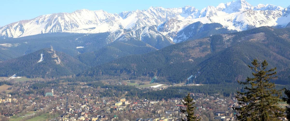 Техникумы в Новом Сонче