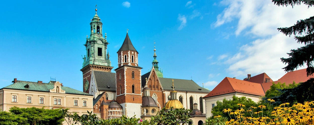 Технікуми в Кракові